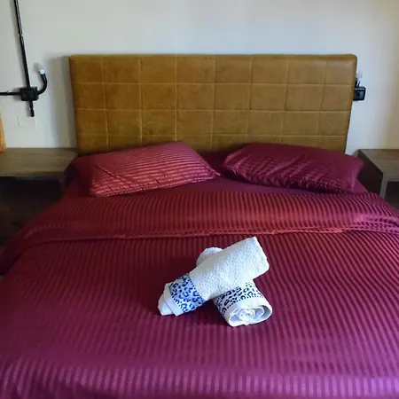 D1 & 招待所 地拉那