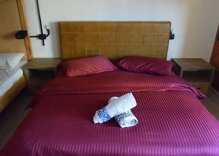 D1 & Pensión Tirana